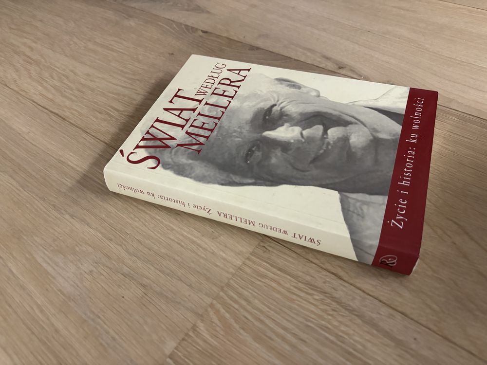 Świat według Mellera - Michał Komar