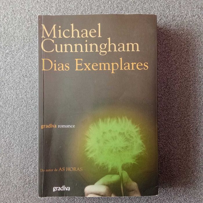 Michael Cunningham, "Dias Exemplares"