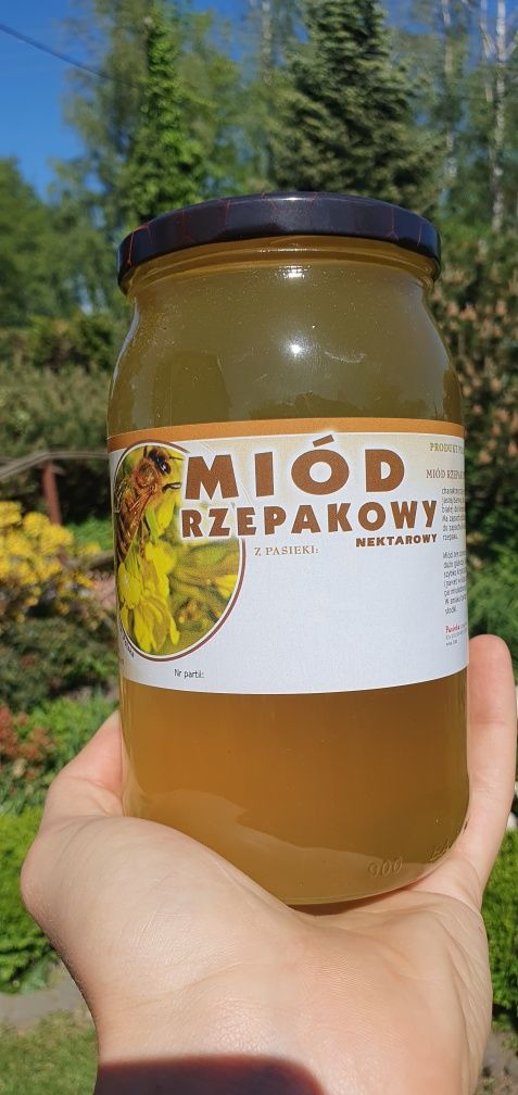 Miód Rzepakowy 2024