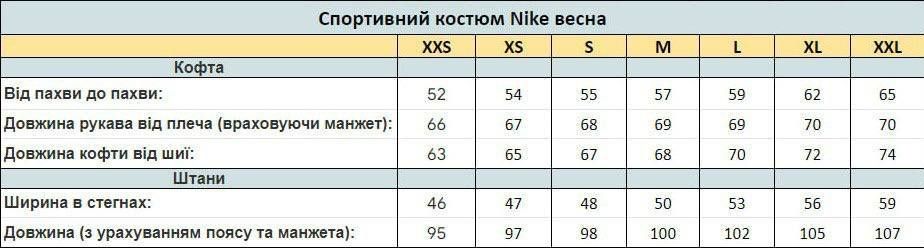 Спортивный костюм мужской Nike Tech Fleece весенний Найк Теч Флис