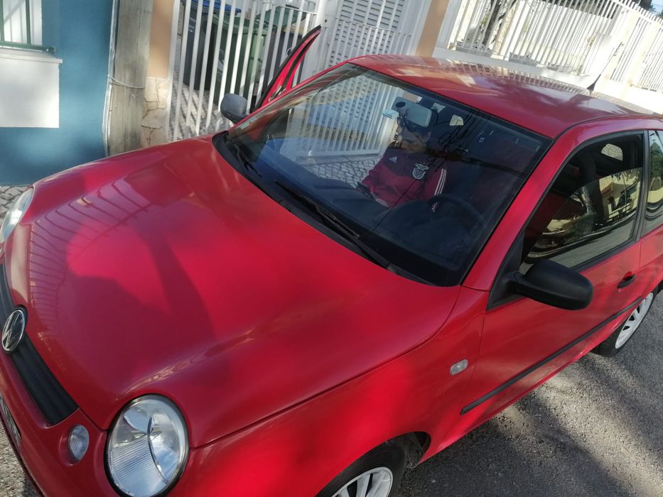 Vendo lupo 1.0 mpi