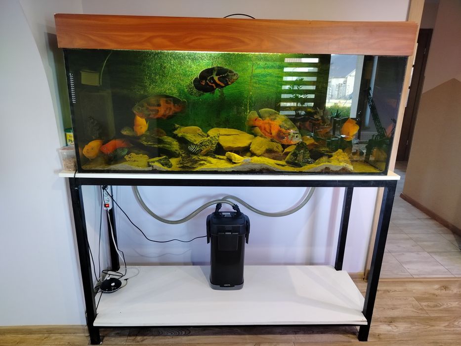 Akwarium 450 L 150x50x60