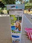 Piscina Intex + Capa
