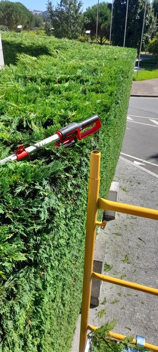 Jardineiro construção e manutenção de jardins