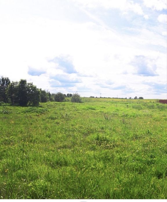 Земельна ділянка Ставки