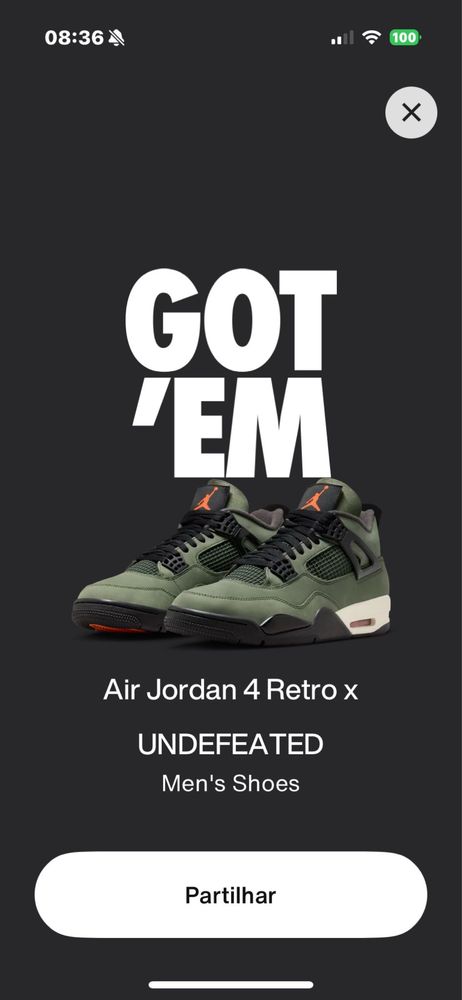 Air Jordan 4 retro x Undefeated