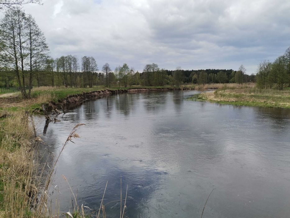 Sprzedam piękną dużą 1200m2 działkę przy rzece Pisie, w Jurkach.