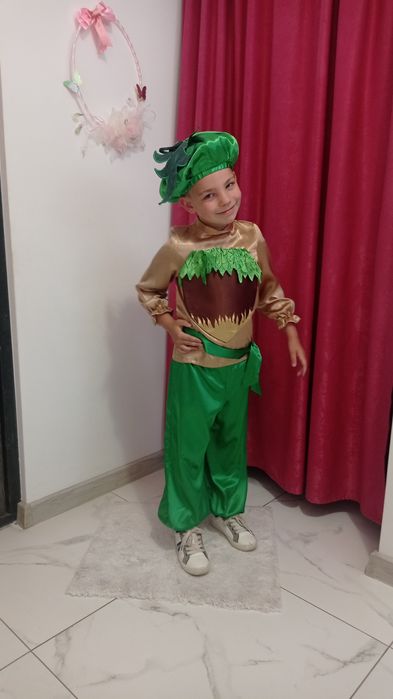 Костюм винограду, горішка, баклажана, часника, соняха, яблука, помідор