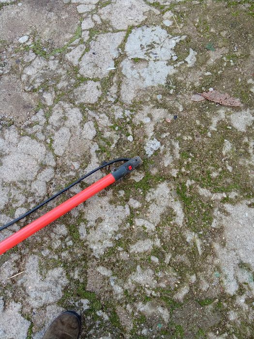 Varejador de azeitonas.