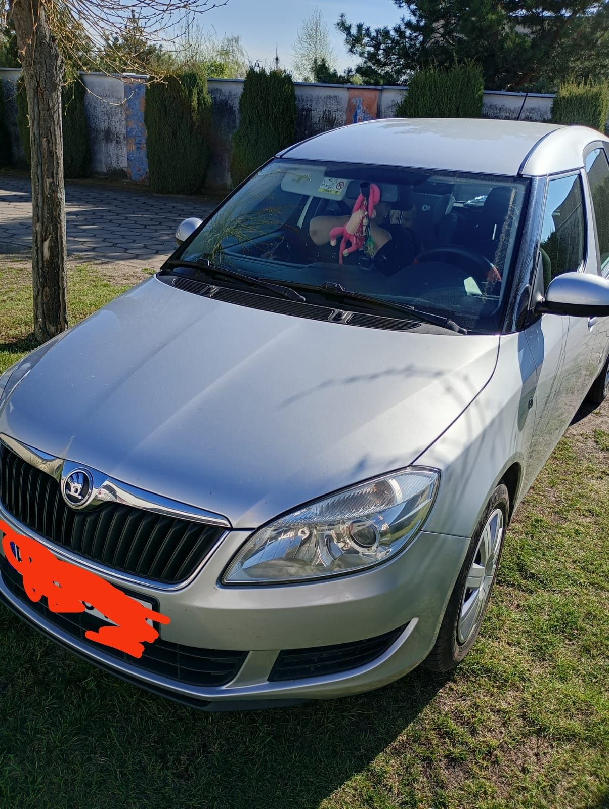 Skoda     romster