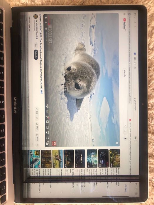 Apple MacBook Air 13" 2020 M1 8/512