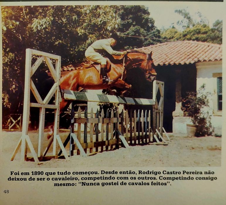 HIPISMO - Rodrigo Castro Pereira