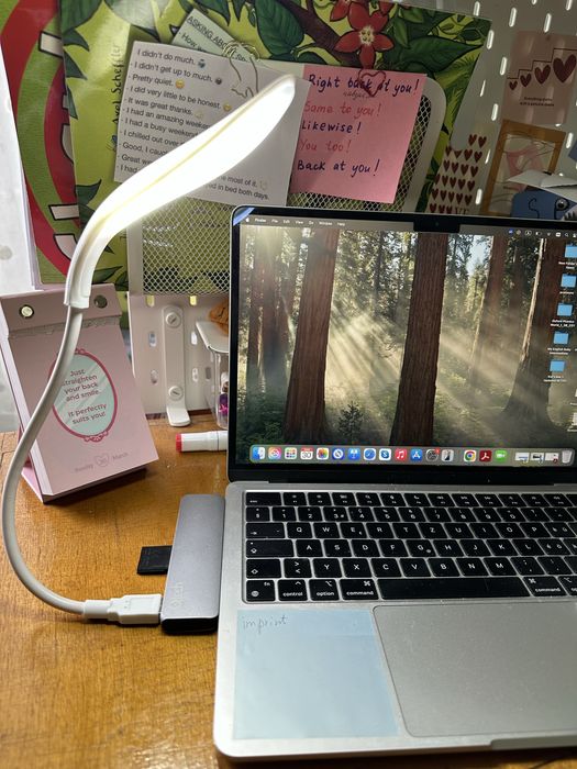 Гнучка світлодіодна Usb Led лампа для ноутбука / Power Bank світильник