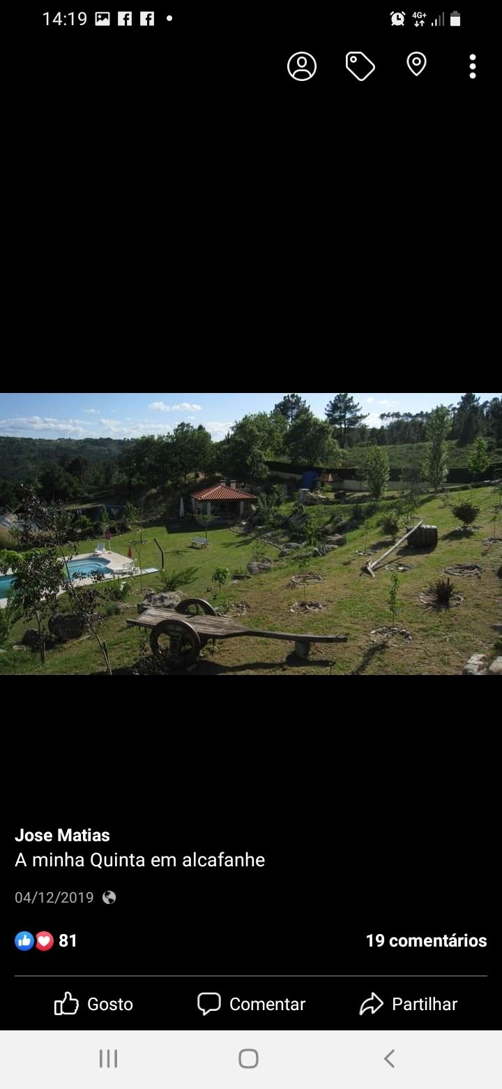 Vendo quinta a  10 minutos do centro da cidade de viseu com casa