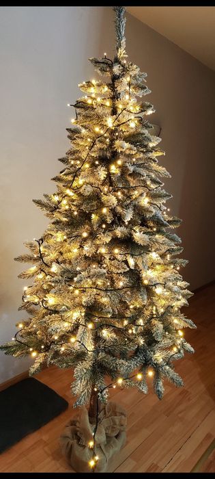 Piękna ośnieżona choinka