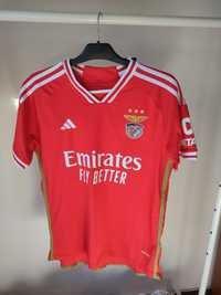 Camisola principal Benfica época 23/24