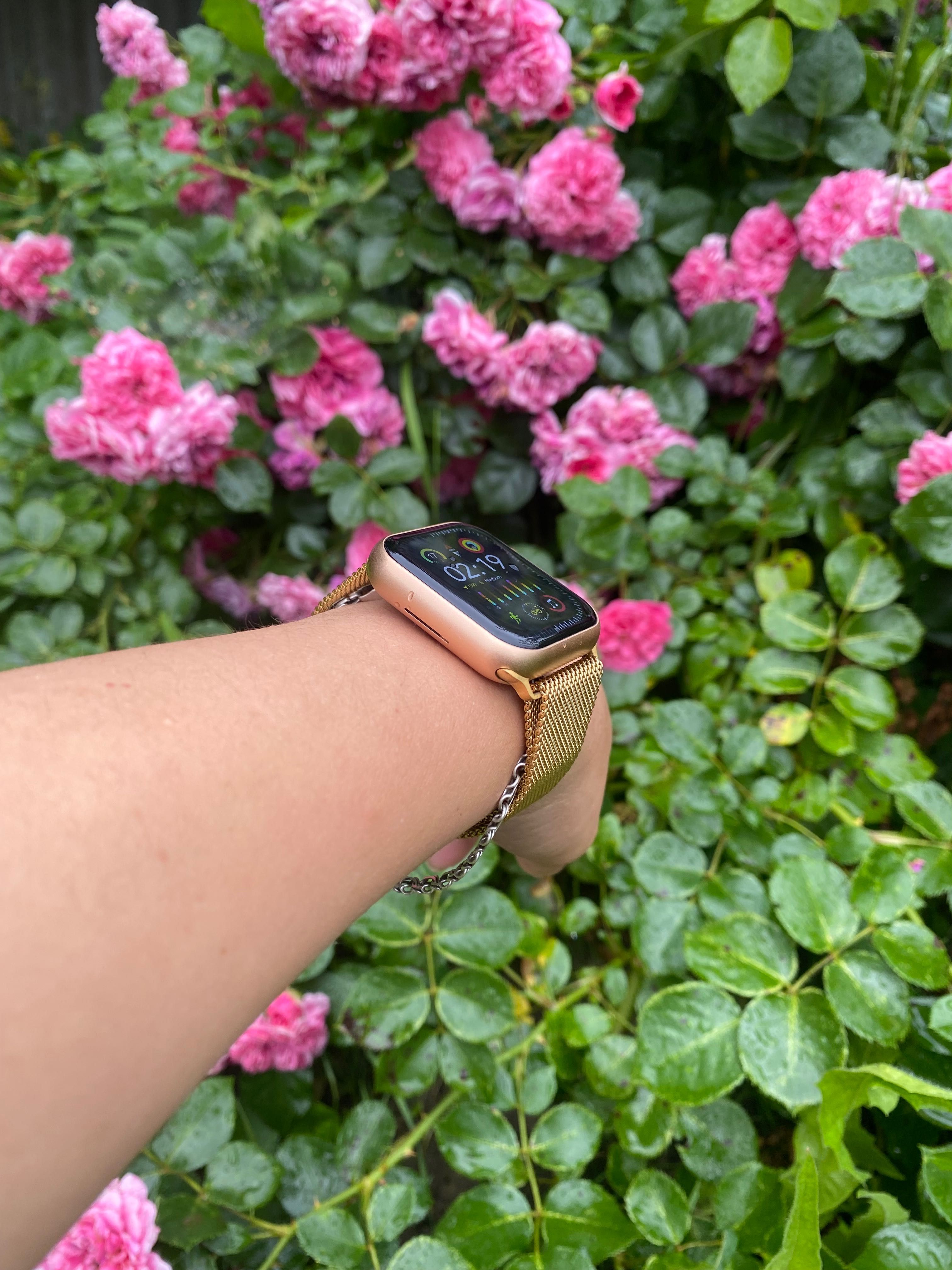 Apple Watch &Hermes
