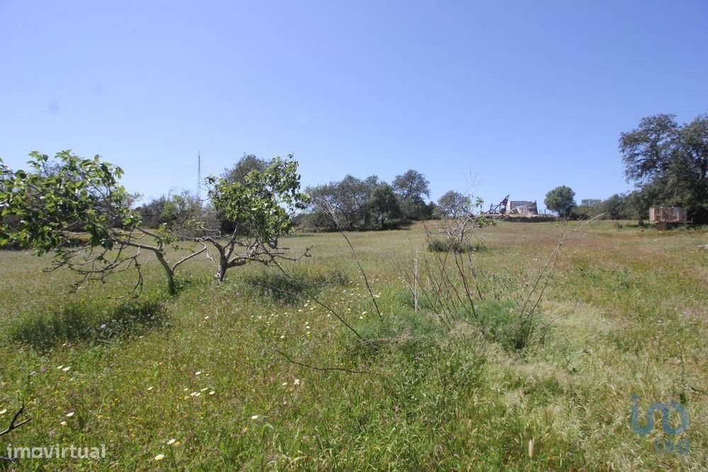 Terreno em Ferreiras de 240,00 m2