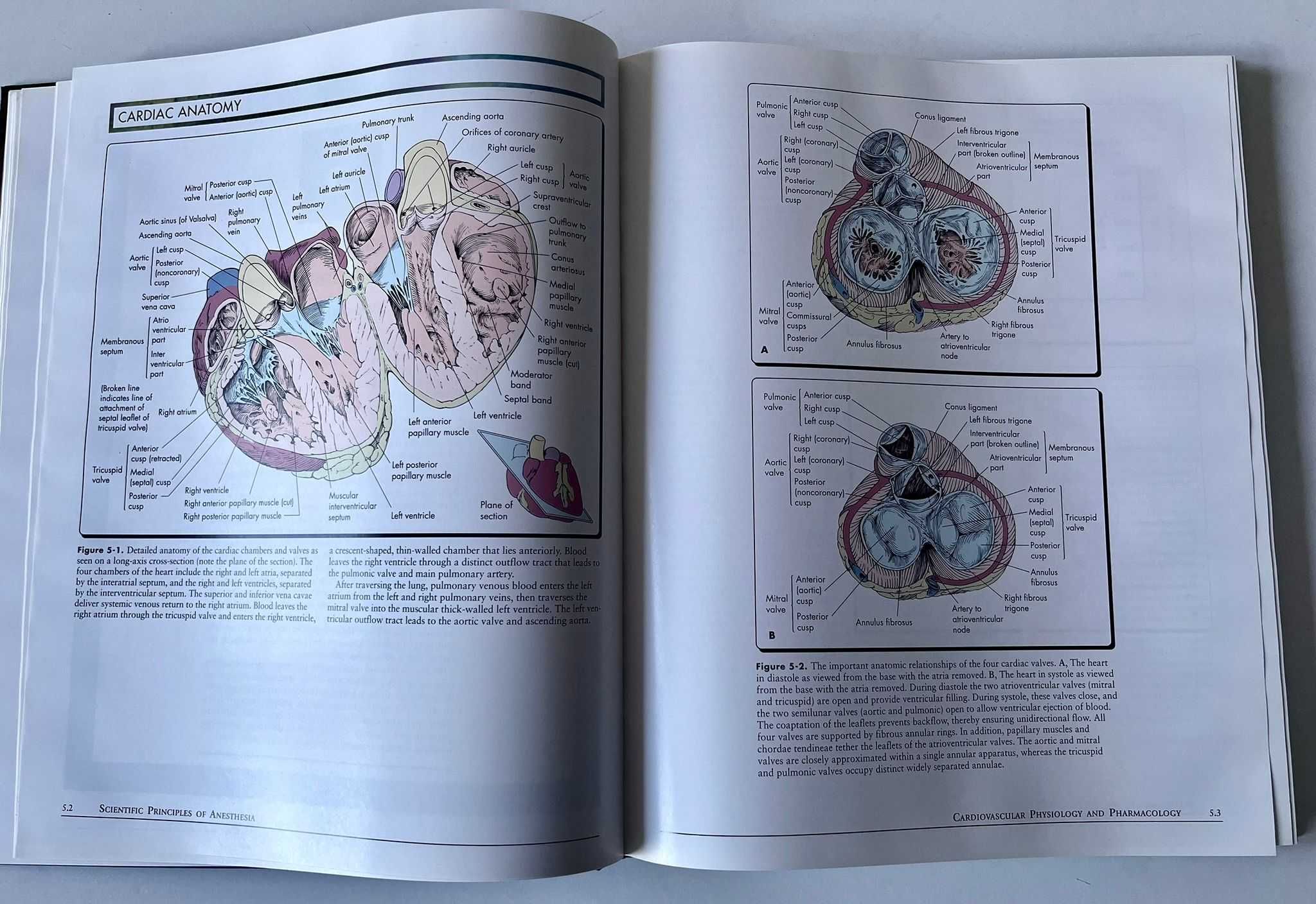 Atlas of anesthesia Volume II