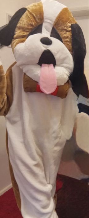 Mascotes para alugar