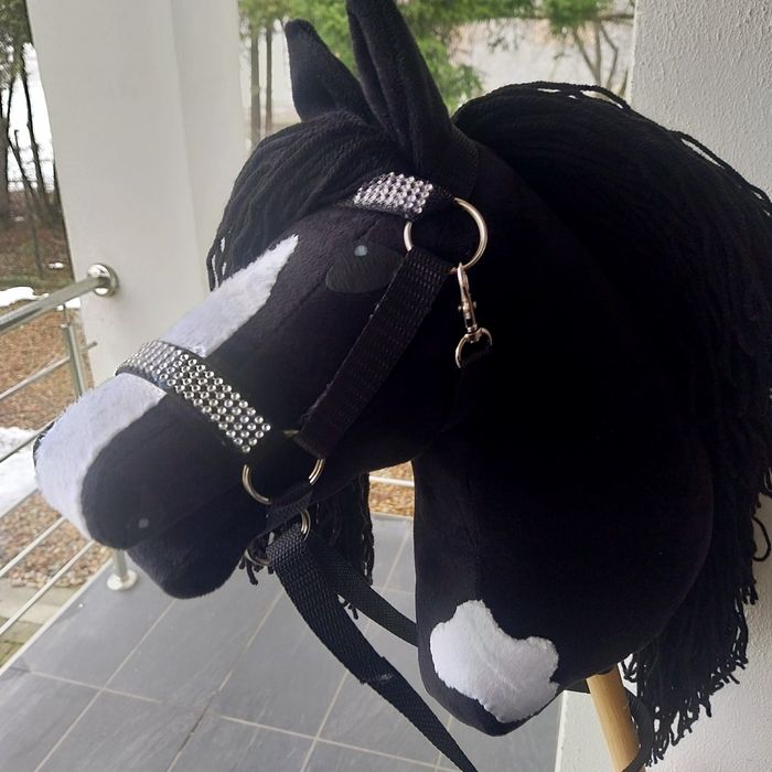 Hobby Horse-koń na kiju