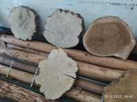Talarki plastry drewna grab dąb