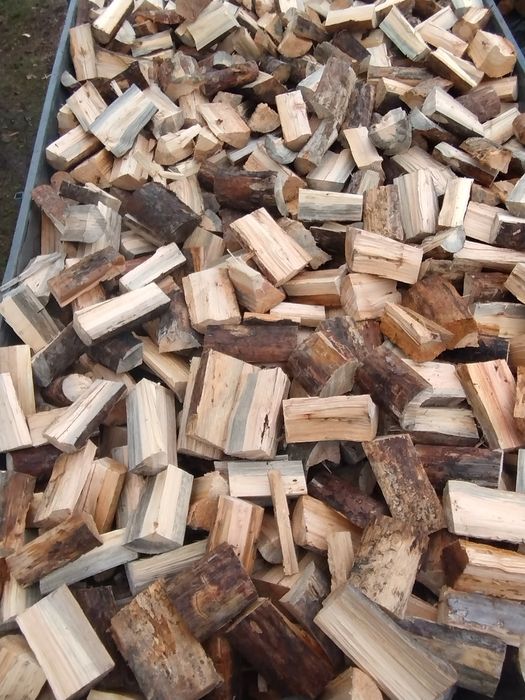 Suche Drewno opałowe sosna. buk.brzoza olcha