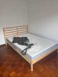 Mattress 140x200 IKEA Vesteroy firm