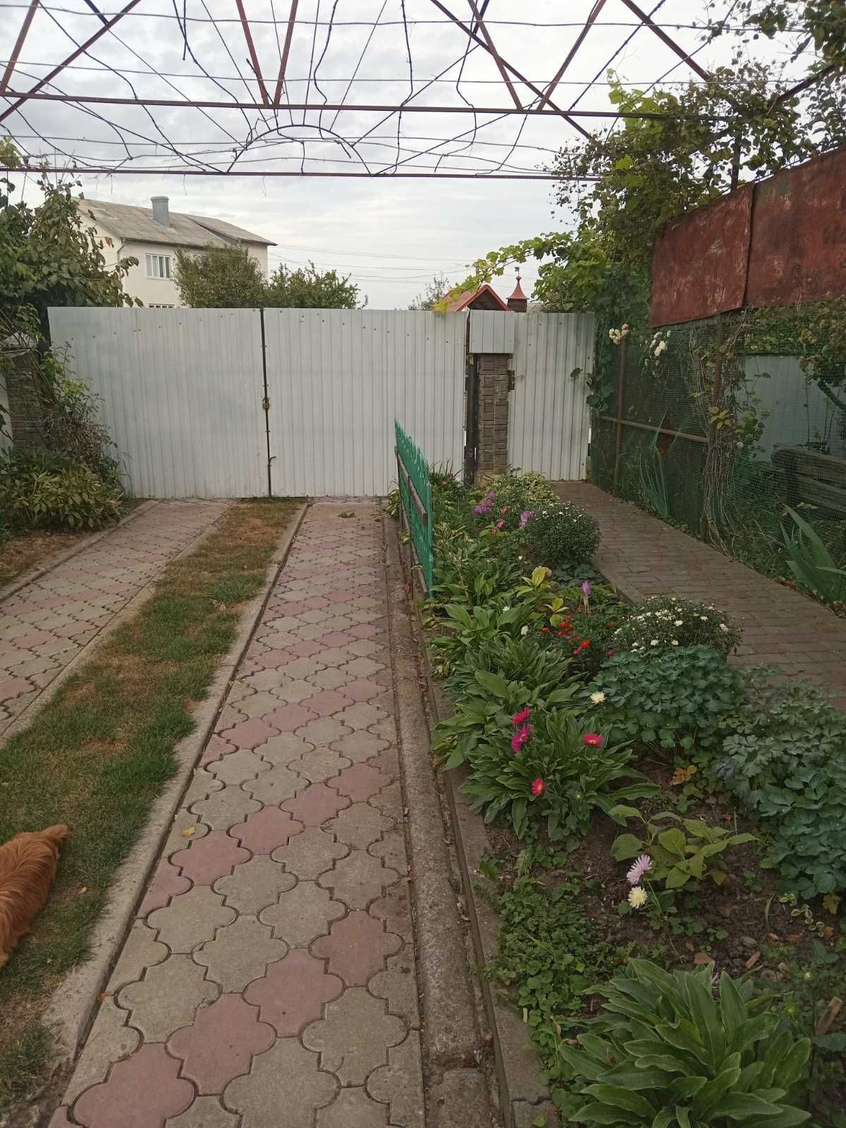 Затишний Будинок