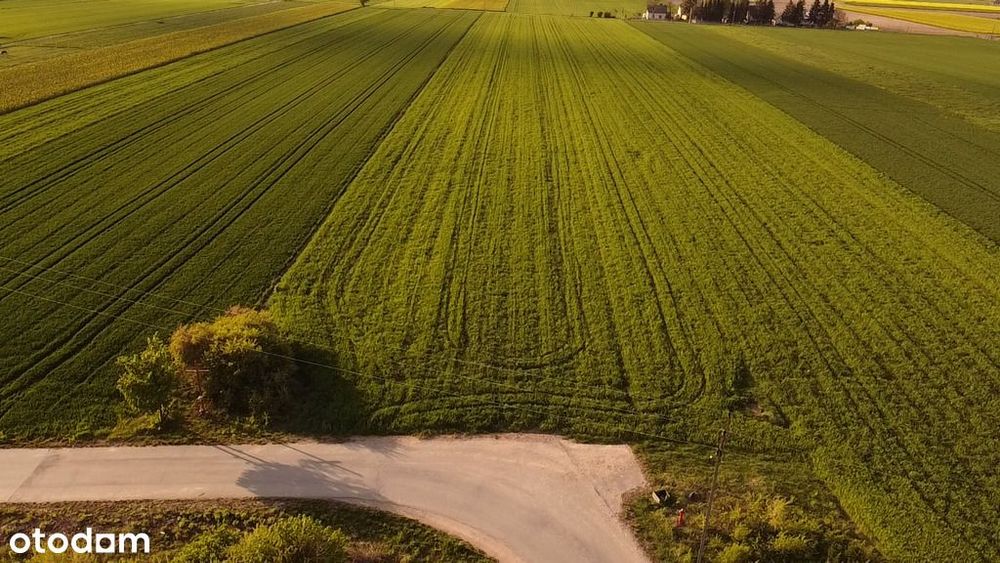 Atrakcyjna działka budowlana 919 m² – Nowe Opole