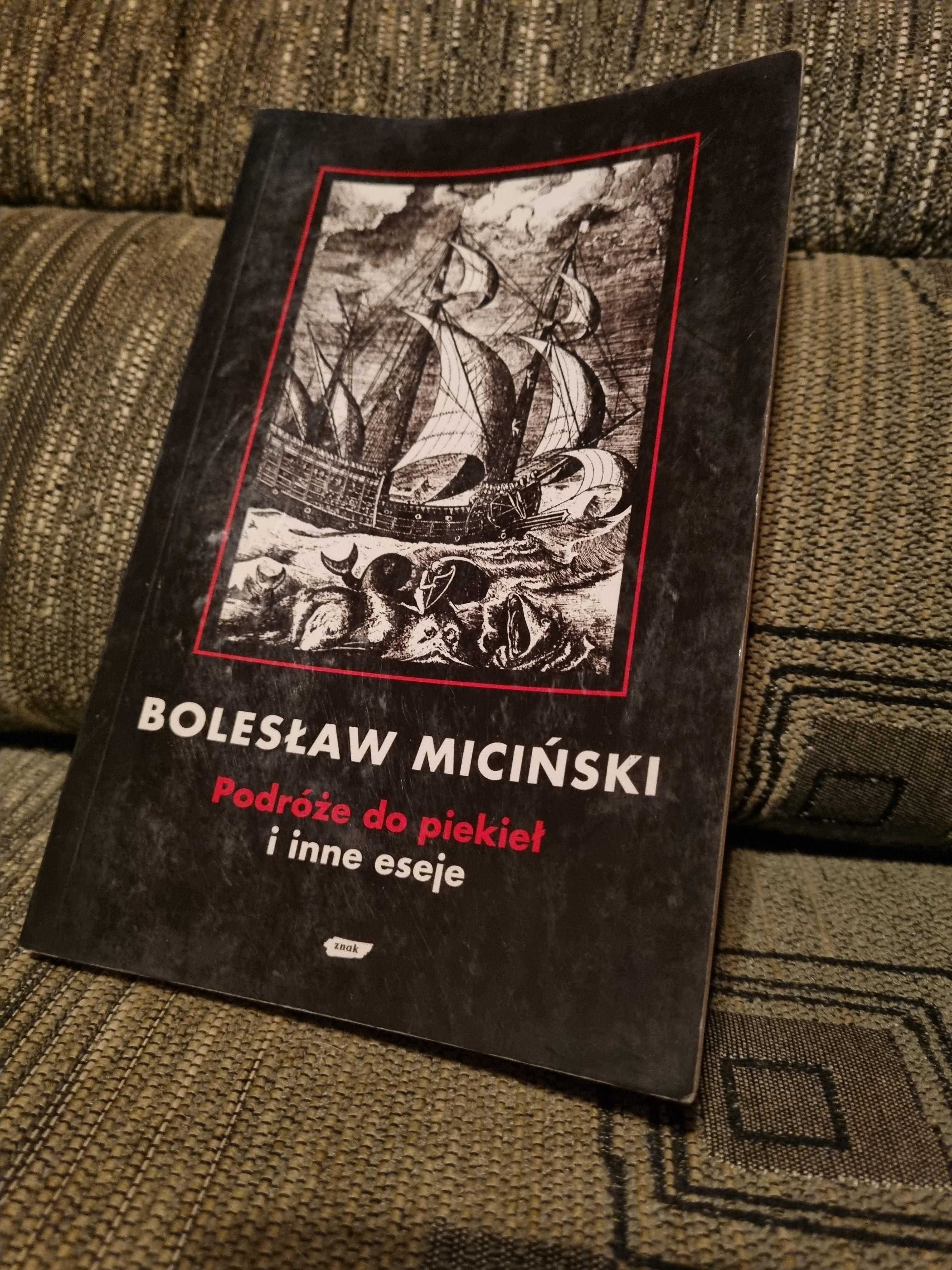 Podróże do piekieł i inne eseje, Bolesław Miciński, 1994