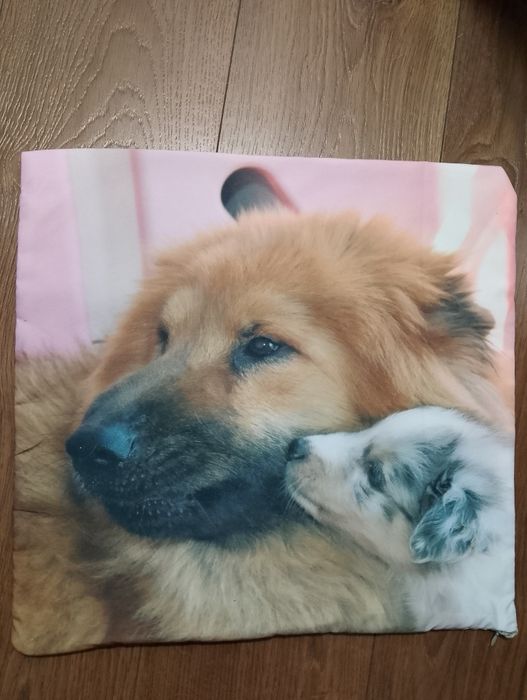 Poszewka na poduszkę 45