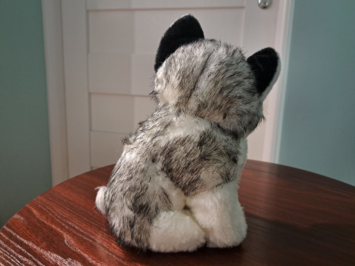 Pluszak maskotka Piesek Husky