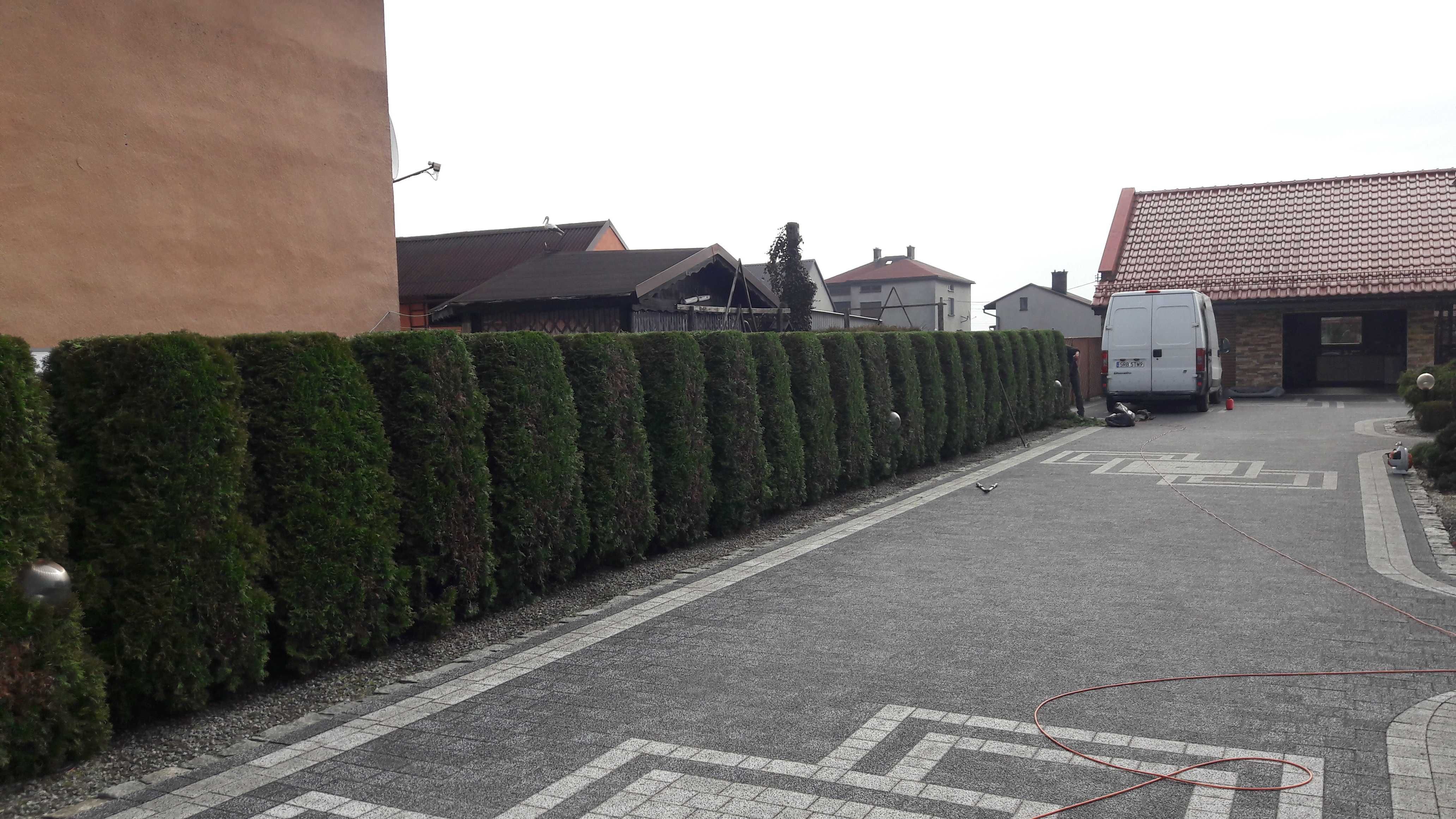 Przycinanie tujii, drzew, krzewów z wywozem odpadów pielęgnacje ogrodu