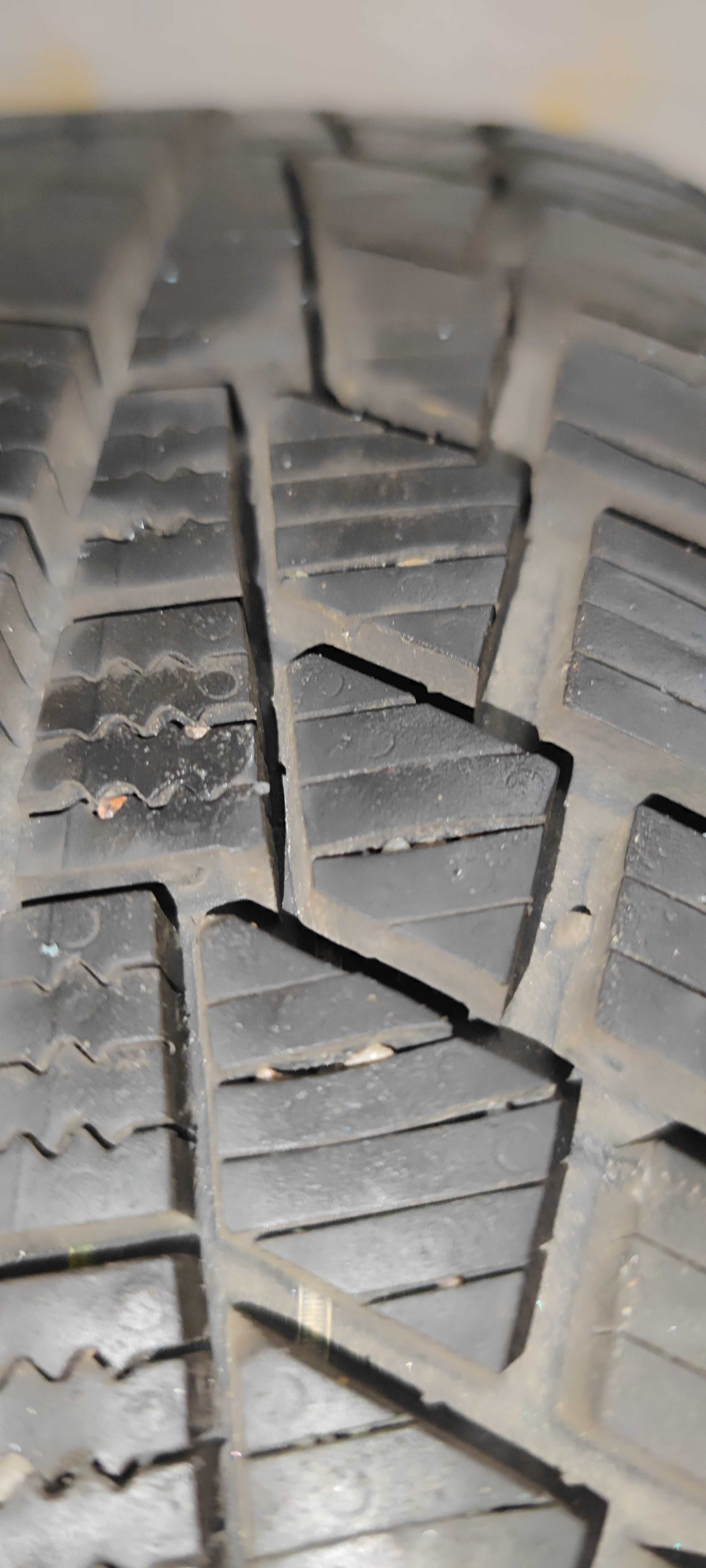 Зимові шини GISLAVED EURO FROST 6 195/65 R15 (2022 року)