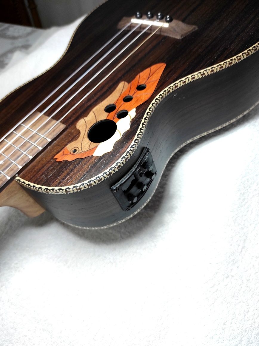 Ukuleles (1 Soprano + 1 Baritono(elétrico))