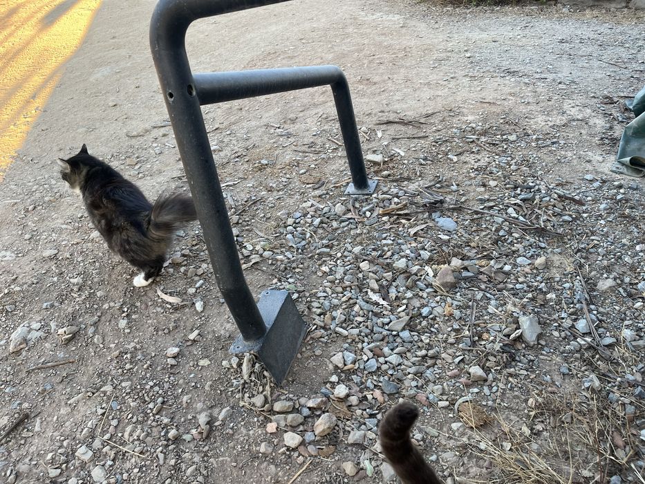 Rollbar Toyota LC BJ40