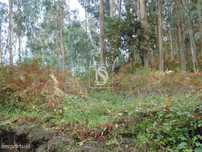 Terreno para Construção