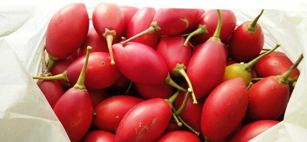 Tamarilho biologico