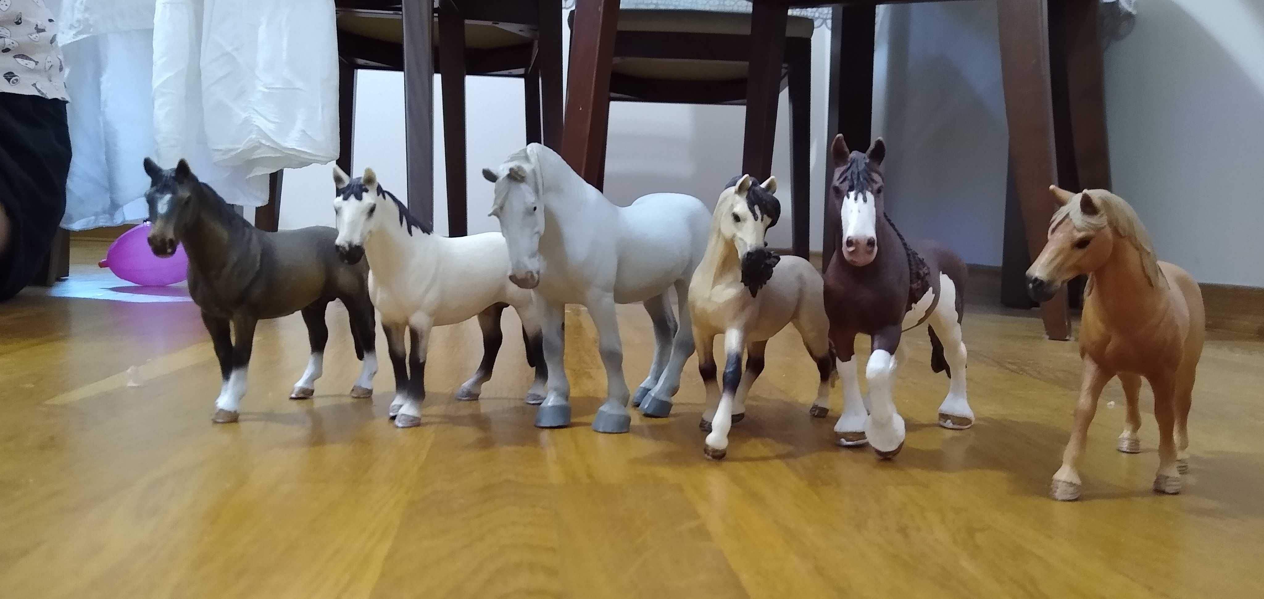 Kolekcja koni Schleich 11 i Collecta 2