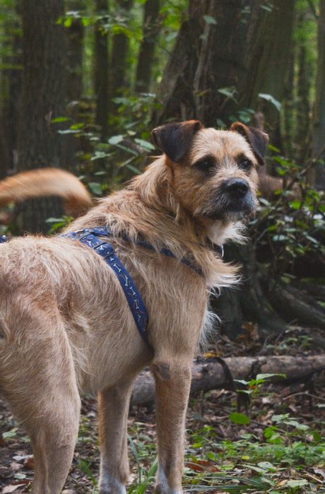 Borys tak długo czeka