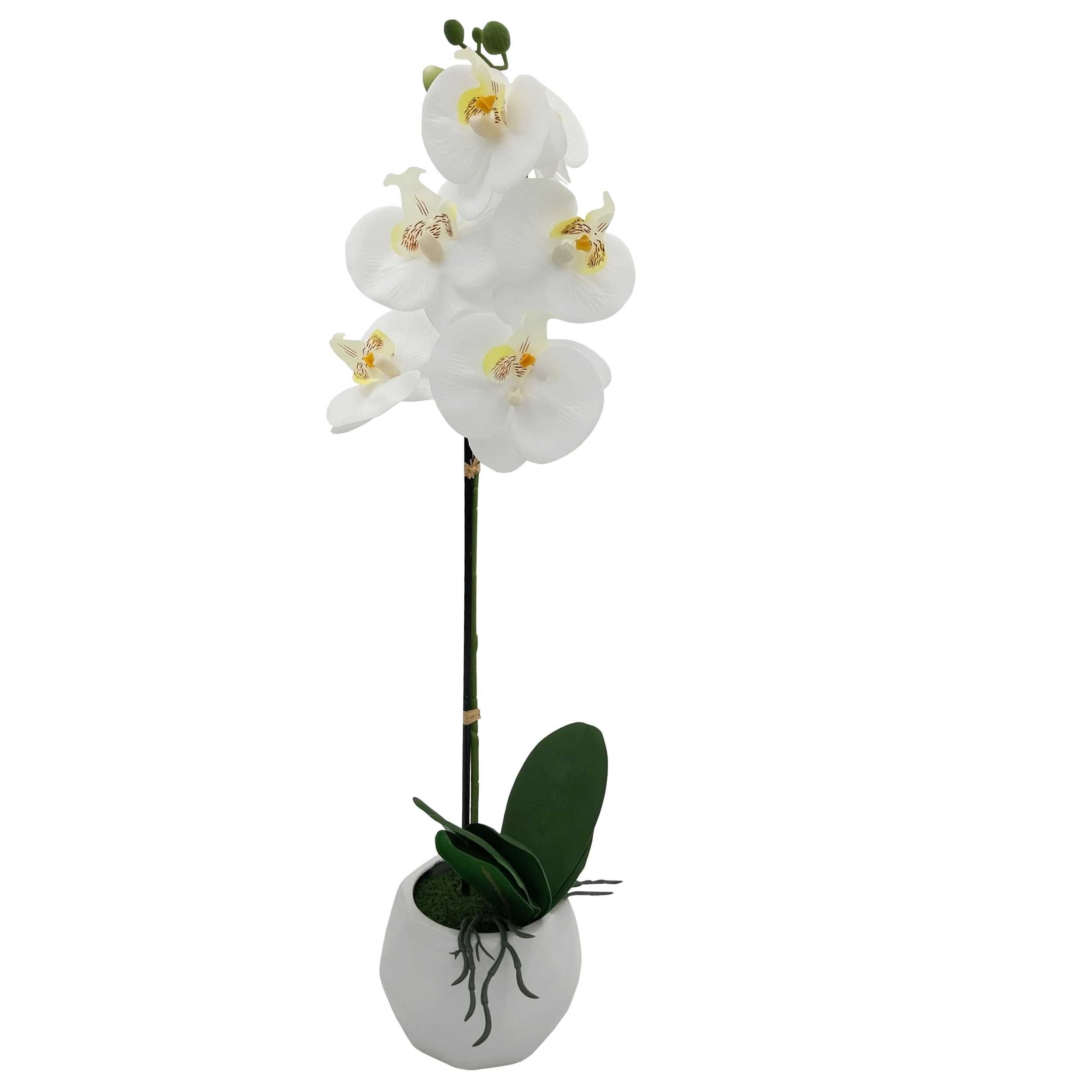 Storczyk sztuczny biały wysoki kwiat w doniczce 50 - 60cm orchidea