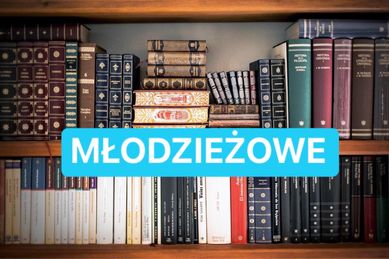 Paczka 50 losowych książek - tematyka MŁODZIEŻOWE