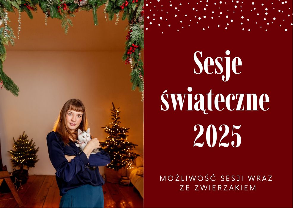 Sesja świąteczna katowice