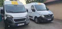 Wynajem Renault i Peugeot