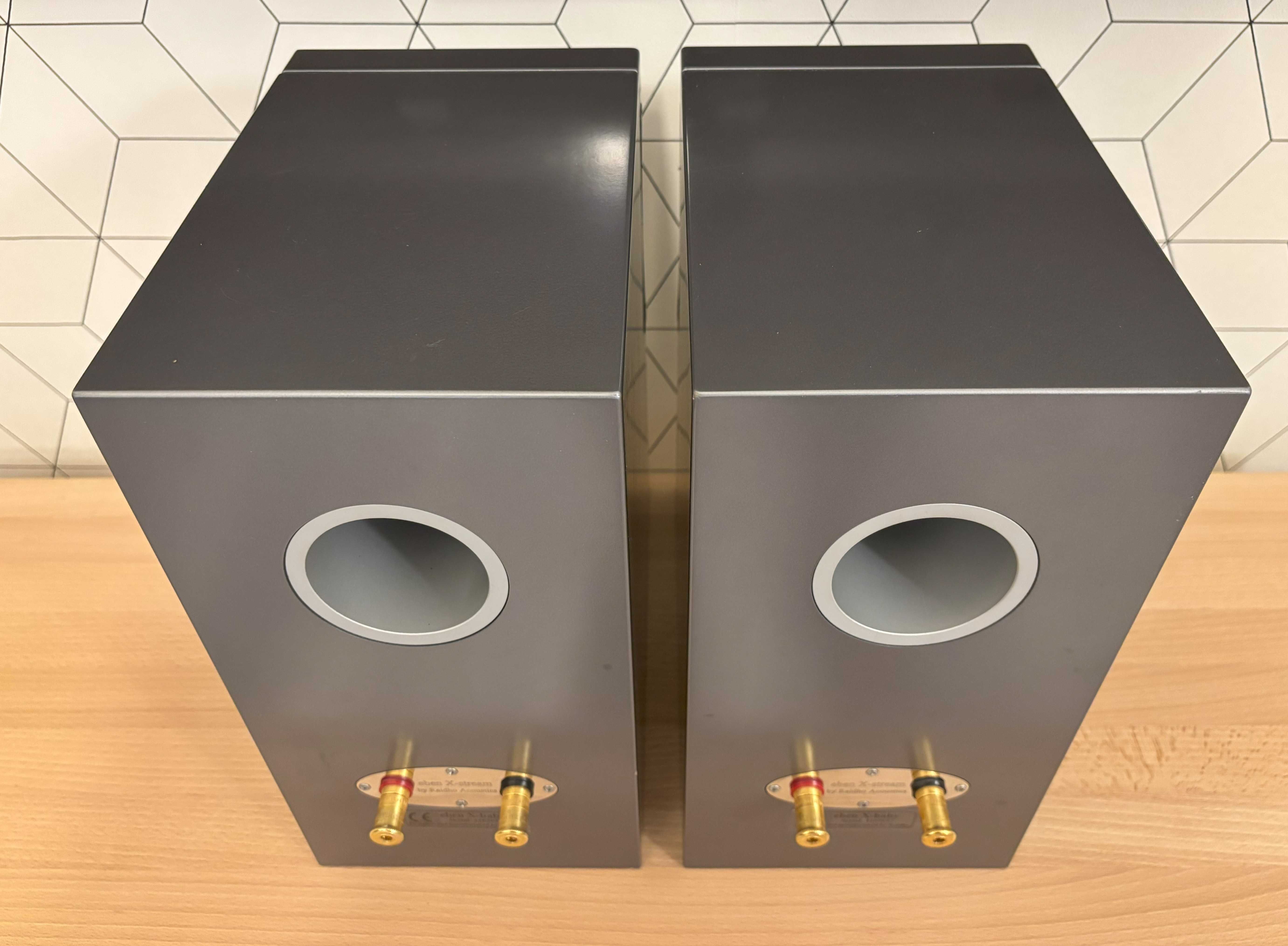 Kolumny podstawkowe/monitory Raidho Acoustics Eben X- Baby