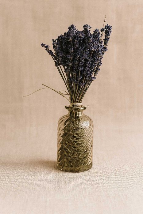 bukiet z suszonej lawendy