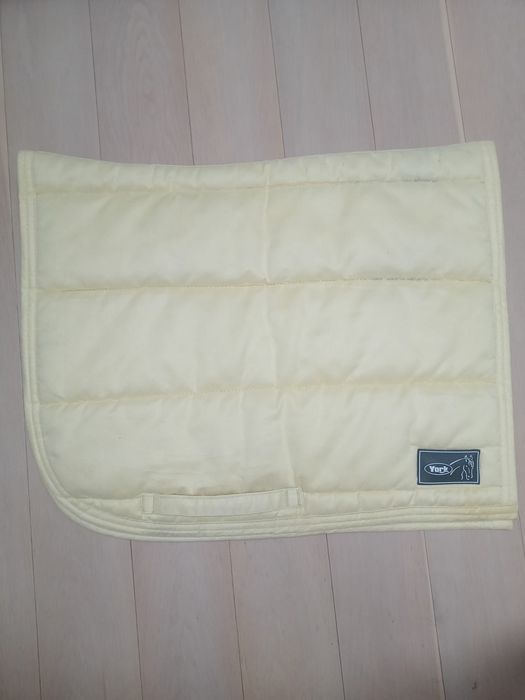 Czaprak york fair Play eskadra Kentucky