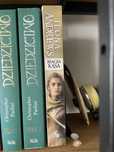Ksiazka Magia Kąsa, Ilona Andrews tom 1, seria: Kate Daniels