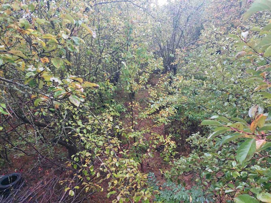 (5) Продаж дачі на Барському шосе 6470